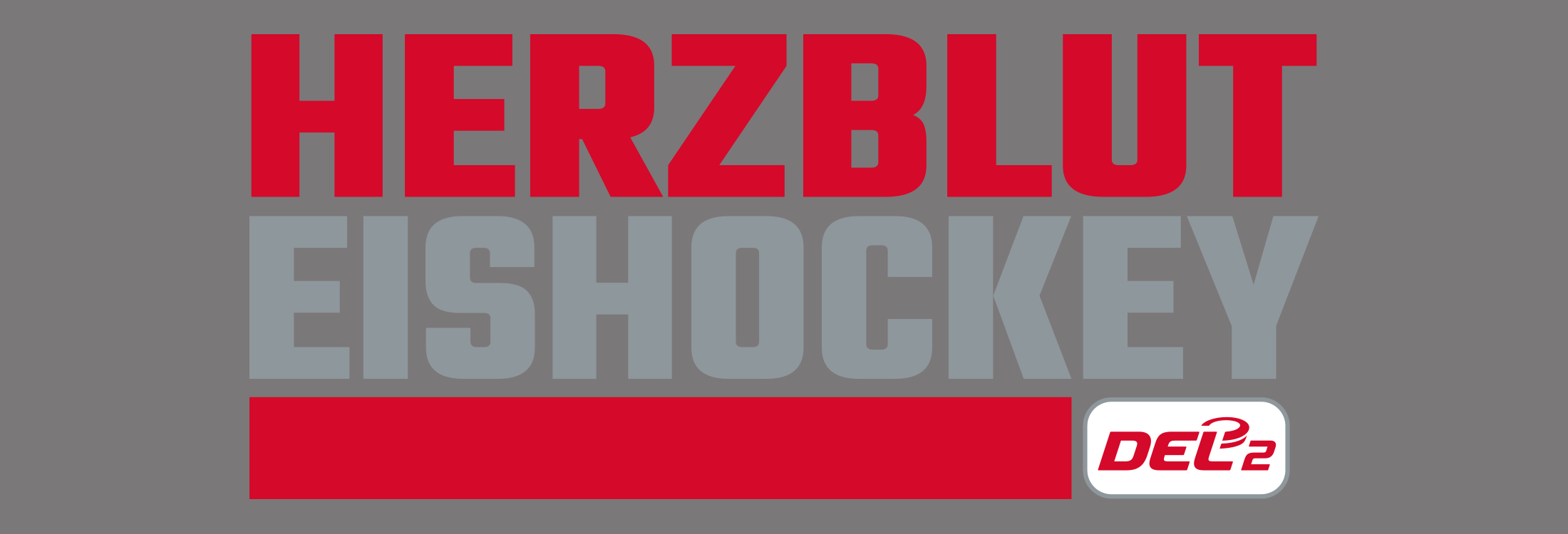 T-Shirt DEL2 Herzblut Eishockey
