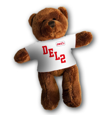 Teddybär DEL2